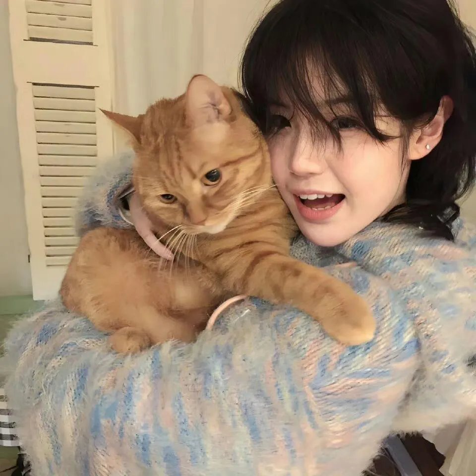 朋友请吃饭第三季